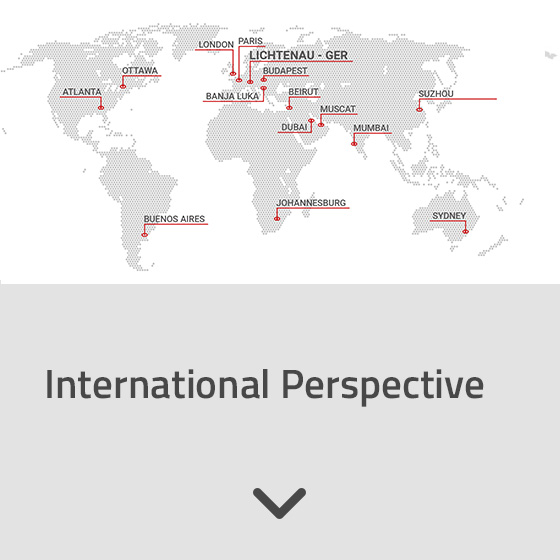 International Perspective