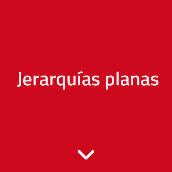 Jerarquías planas